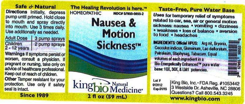 Nausea and Motion Sickness